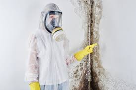 Best Mold Remediation for Healthcare Facilities in Air Force Academy, CO